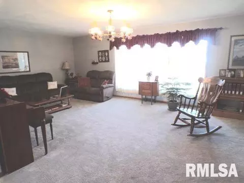 110 S Yates St, Alpha, IL 61413 photo 11