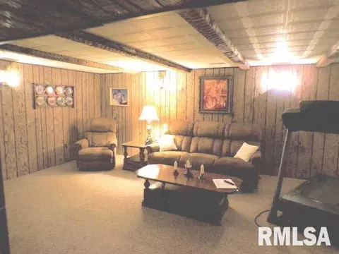 110 S Yates St, Alpha, IL 61413 photo 23