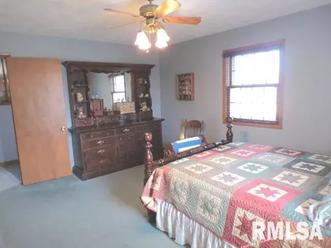 110 S Yates St, Alpha, IL 61413 photo 17