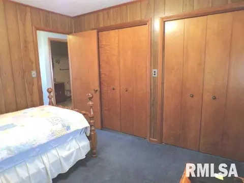 110 S Yates St, Alpha, IL 61413 photo 21