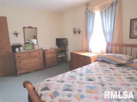 110 S Yates St, Alpha, IL 61413 photo 19