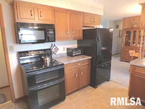 110 S Yates St, Alpha, IL 61413 photo 8