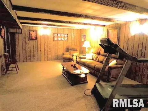 110 S Yates St, Alpha, IL 61413 photo 22