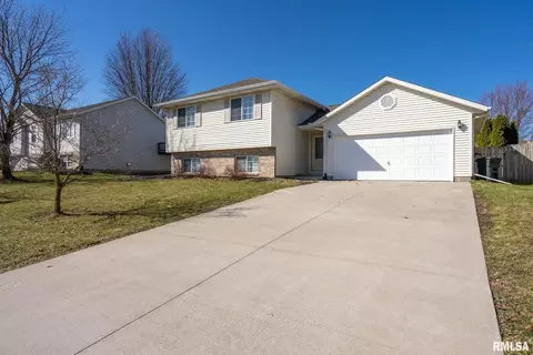 817 Birchwood Dr, Colona, IL 61241