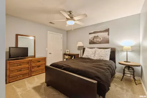 120 9th St, Hampton, IL 61256 photo 35