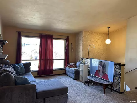 1002 6th Ave, Silvis, IL 61282 photo 10