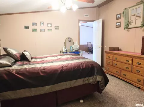 300 W 15th St, Christopher, IL 62822 photo 12