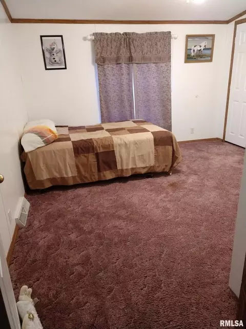 300 W 15th St, Christopher, IL 62822 photo 16