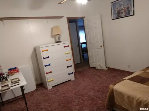 300 W 15th St, Christopher, IL 62822 photo 17