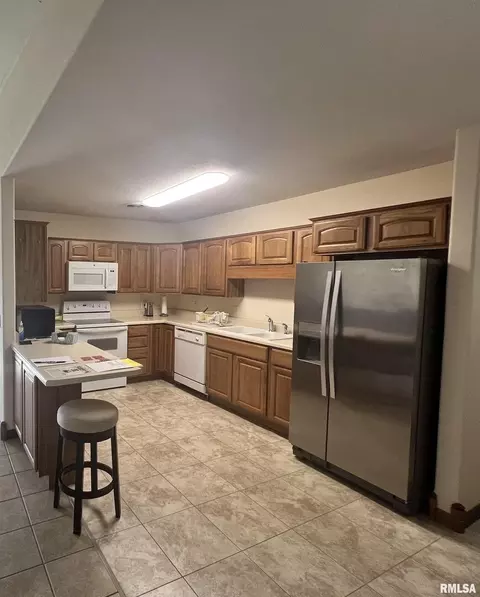 1507 Cheyenne Dr, Marion, IL 62959 photo 11