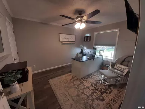 9041 Martin St, Christopher, IL 62822 photo 11