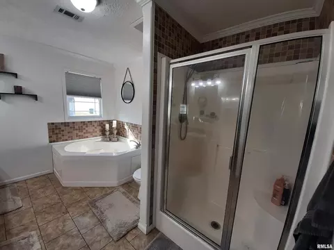9041 Martin St, Christopher, IL 62822 photo 25