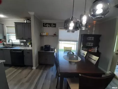 9041 Martin St, Christopher, IL 62822 photo 19