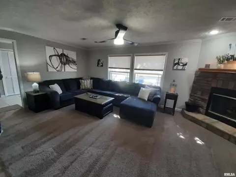 9041 Martin St, Christopher, IL 62822 photo 21