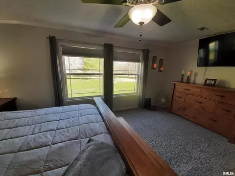 9041 Martin St, Christopher, IL 62822 photo 24