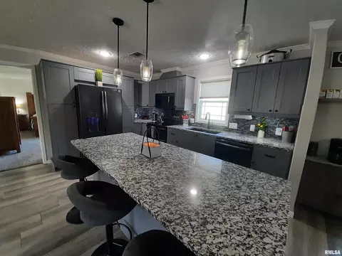 9041 Martin St, Christopher, IL 62822 photo 17