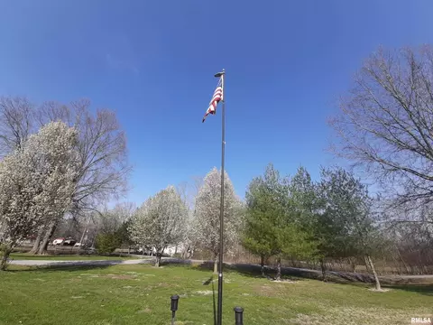 9041 Martin St, Christopher, IL 62822 photo 50