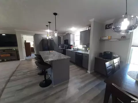 9041 Martin St, Christopher, IL 62822 photo 16