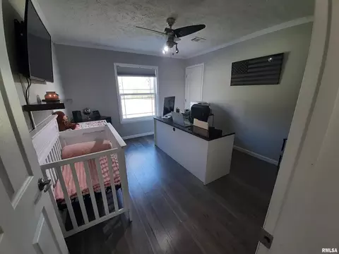 9041 Martin St, Christopher, IL 62822 photo 9
