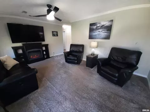 9041 Martin St, Christopher, IL 62822 photo 7