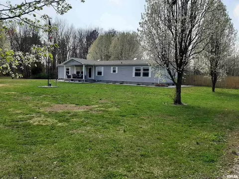 9041 Martin St, Christopher, IL 62822 photo 2