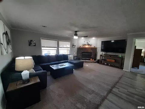 9041 Martin St, Christopher, IL 62822 photo 22