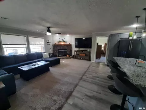 9041 Martin St, Christopher, IL 62822 photo 20