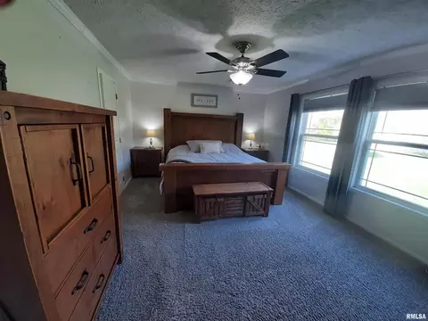 9041 Martin St, Christopher, IL 62822 photo 23