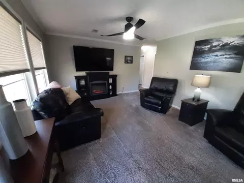 9041 Martin St, Christopher, IL 62822 photo 6