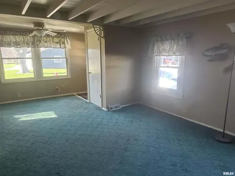 417 E Chestnut St, Geneseo, IL 61254 photo 12