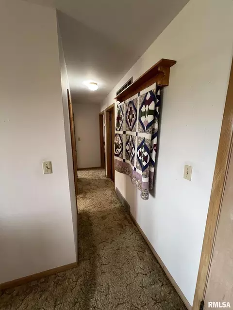 703 NE 3rd Ave, Galva, IL 61434 photo 17