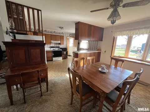 703 NE 3rd Ave, Galva, IL 61434 photo 11