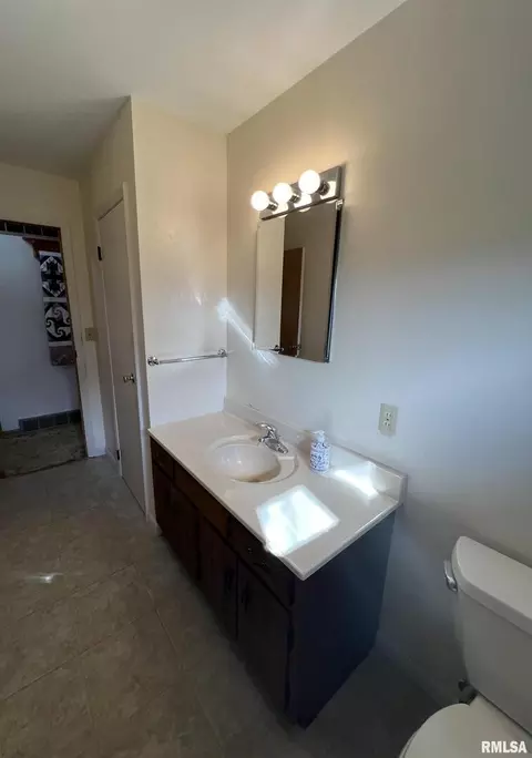 703 NE 3rd Ave, Galva, IL 61434 photo 21