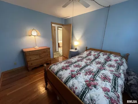 703 NE 3rd Ave, Galva, IL 61434 photo 23