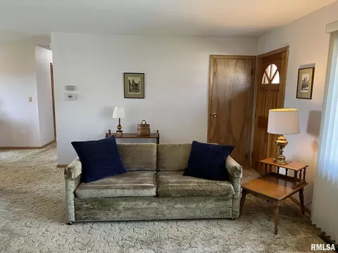 703 NE 3rd Ave, Galva, IL 61434 photo 8