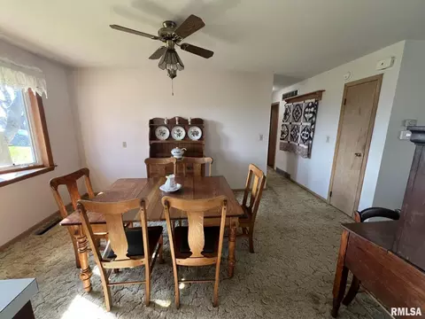 703 NE 3rd Ave, Galva, IL 61434 photo 13