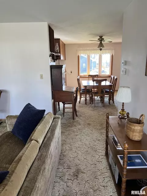 703 NE 3rd Ave, Galva, IL 61434 photo 9
