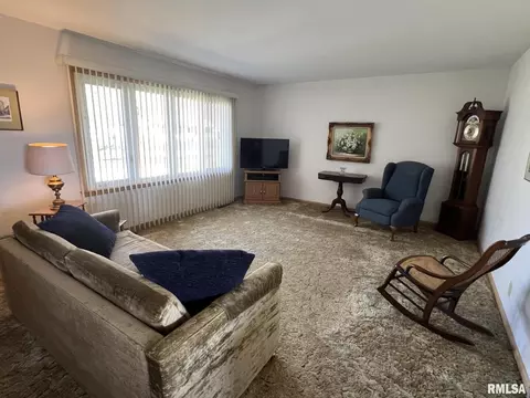 703 NE 3rd Ave, Galva, IL 61434 photo 7