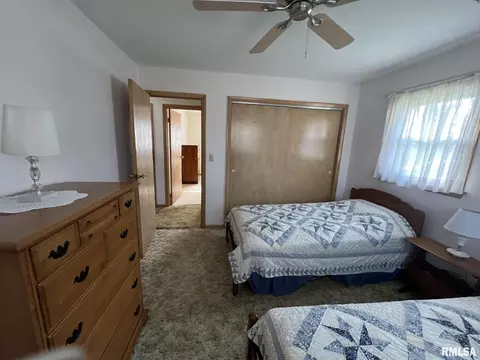 703 NE 3rd Ave, Galva, IL 61434 photo 25