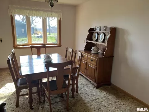 703 NE 3rd Ave, Galva, IL 61434 photo 10