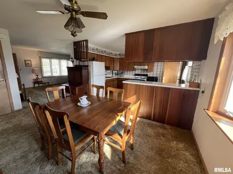 703 NE 3rd Ave, Galva, IL 61434 photo 12