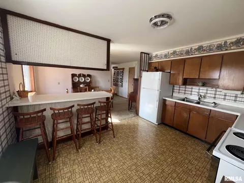 703 NE 3rd Ave, Galva, IL 61434 photo 15