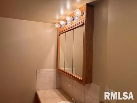 409 Dwight St, Kewanee, IL 61443 photo 29