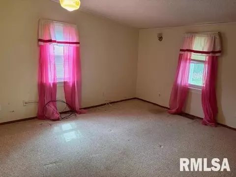 409 Dwight St, Kewanee, IL 61443 photo 21
