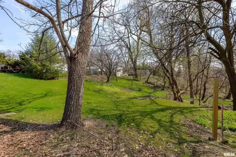 1734 28th Ave, Moline, IL 61265 photo 28