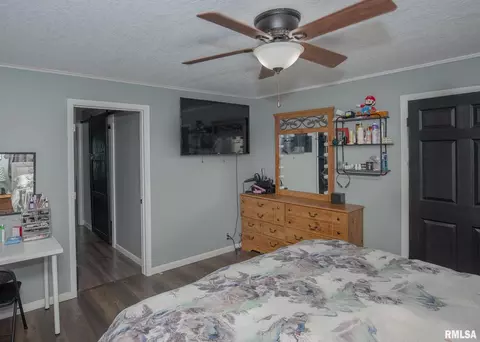 404 14th Ave, Orion, IL 61273 photo 20