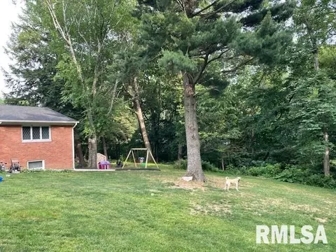 4206 7th Ave, Moline, IL 61265 photo 38