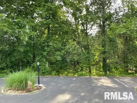 4206 7th Ave, Moline, IL 61265 photo 39