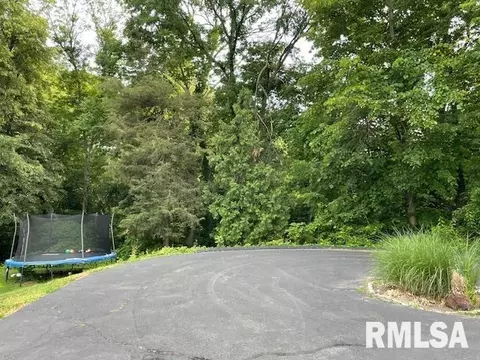 4206 7th Ave, Moline, IL 61265 photo 40