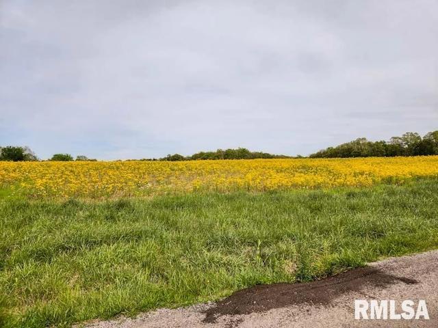 Route 166 Road, Creal Springs, IL 62922